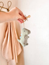 Natural Rubber Pacifier & Plush – Bear