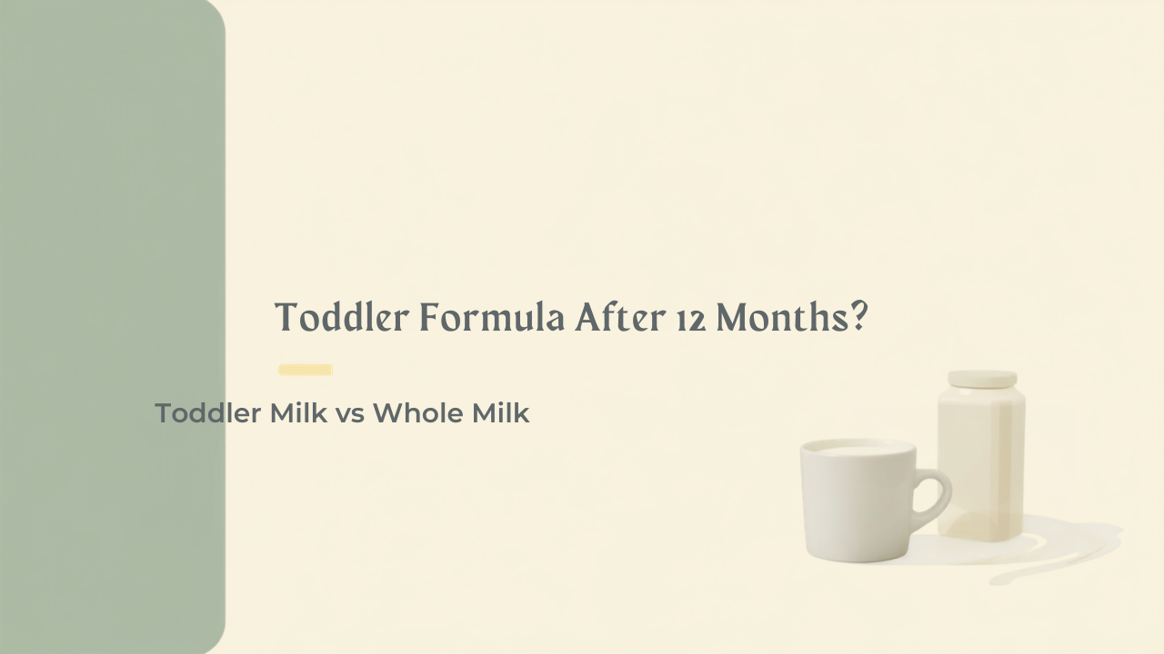 Does Your Toddler Still Need Formula After 12 Months? Toddler Milk vs Whole Milk (2026 Guide)