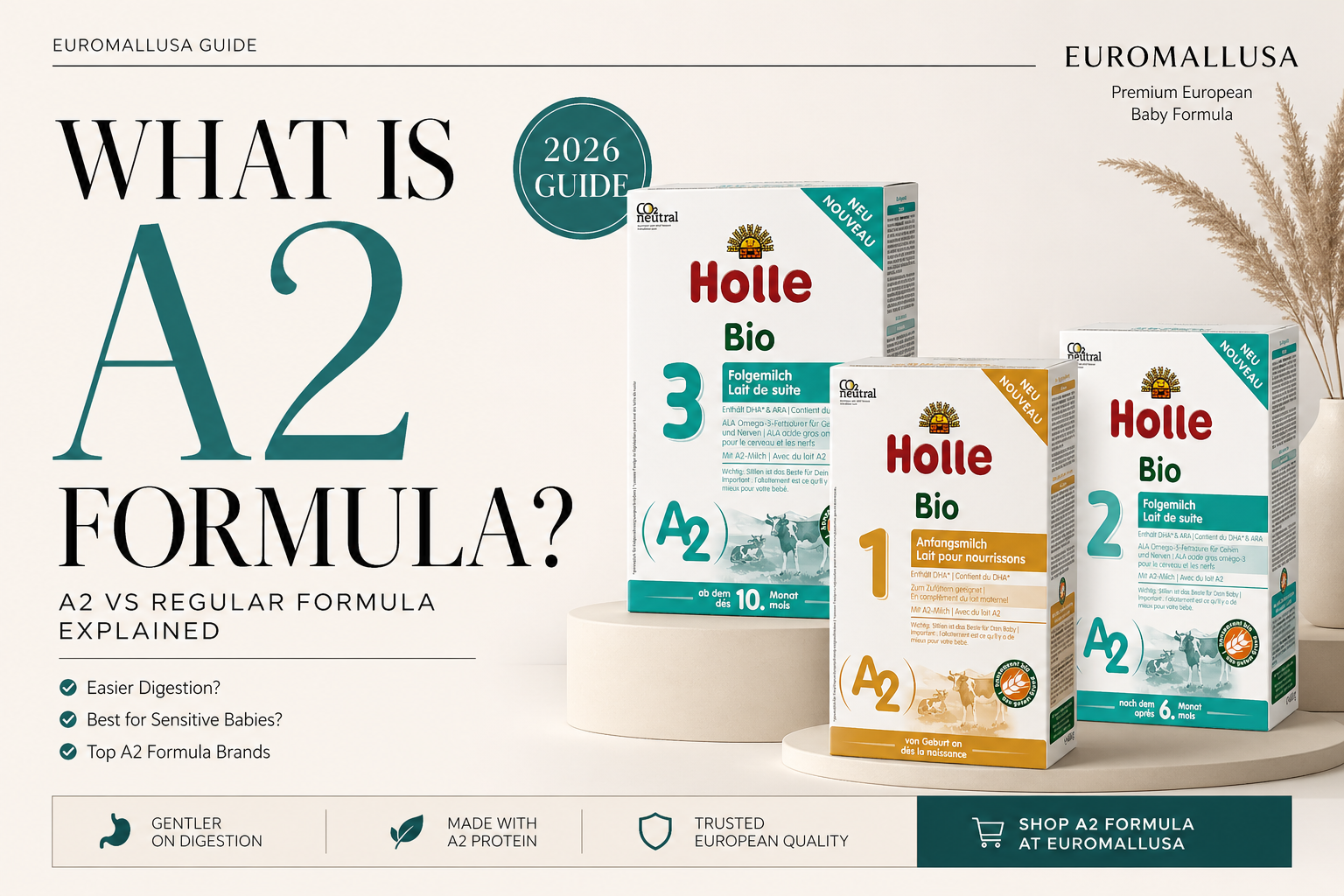What Is A2 Milk Formula? Difference vs Regular Formula (2026 Guide)