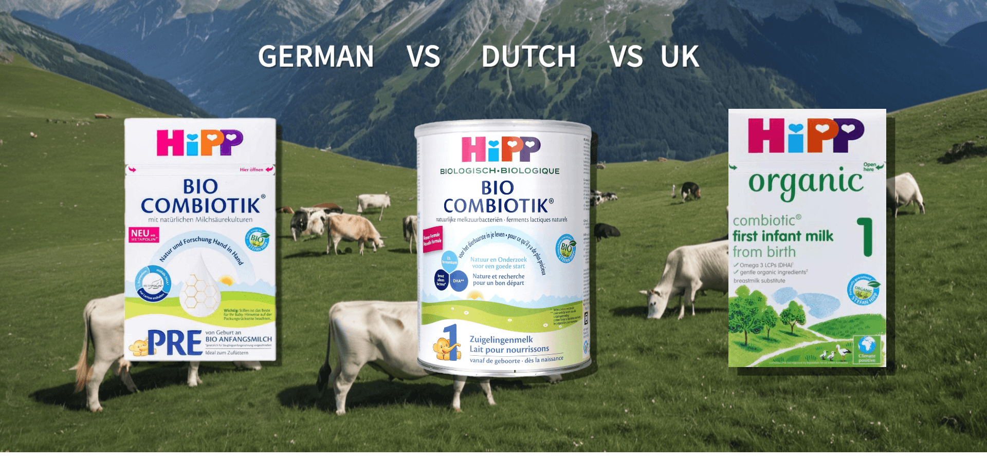 HiPP Baby Formula: German vs. Dutch vs. UK