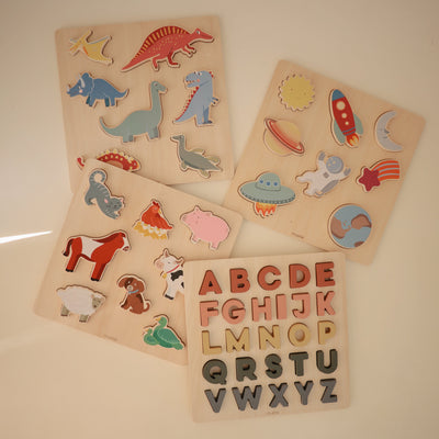 Wooden Shape Puzzle Set