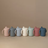 Trainer Sippy Cup with Handles