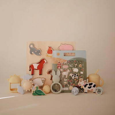 Wooden Shape Puzzle Set