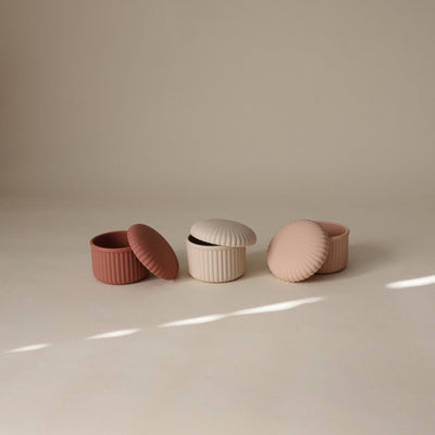 Silicone Baby Food Containers Set  (3 Pack)