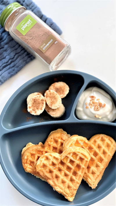 Stay-Put Suction Silicone Plate – 7.5 in Food-Grade BLW Feeding Plate