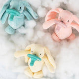 Silicone Pacifier with Soft Toy for Newborns – Gum-Friendly Comfort Soother