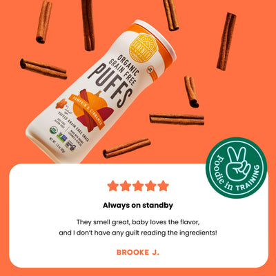 Pumpkin & Cinnamon Organic Grain Free Puffs 6+Month