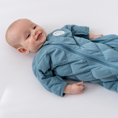Dreamland Baby Dream Weighted Transition Swaddle