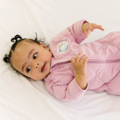 Dreamland Baby Dream Weighted Transition Swaddle