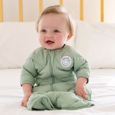 Dreamland Baby Dream Weighted Transition Swaddle