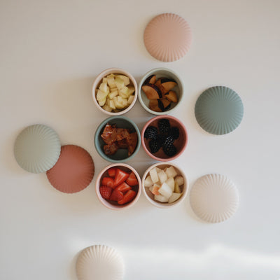 Silicone Baby Food Containers Set  (3 Pack)