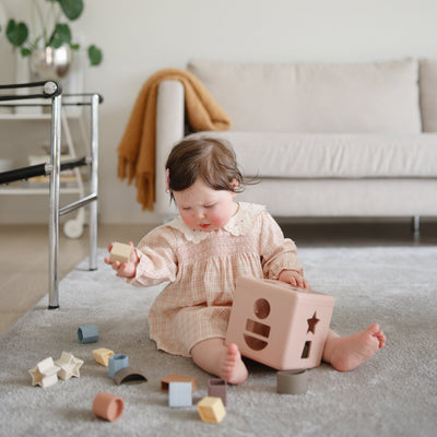 Shape Sorting Box Toy