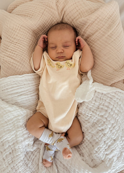 3 Little Ducks Bubble Romper