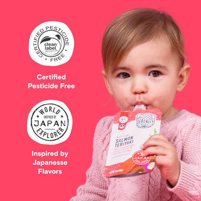 Salmon Teriyaki Baby Food