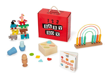 Montessori Educational Box (9-10 Months) – Learning Toy Set