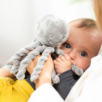 Nattou Octopus Cuddly – Comfort and Security for Newborns
