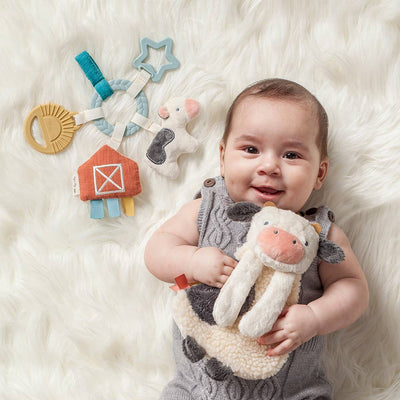 Bitzy Busy Ring™ Teething Activity Toy – Rainbow