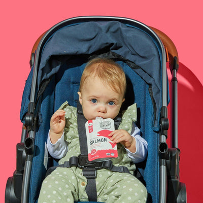 Wild Caught Salmon Baby Food Pouch