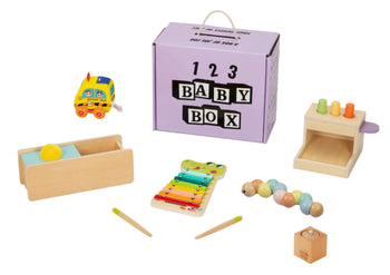 Montessori Educational Box (11-12 Months) – Learning Toy Set
