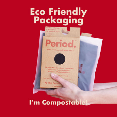 The Period Company Reusable Pantyliner - 5 Piece Bundle (Medium Flow)