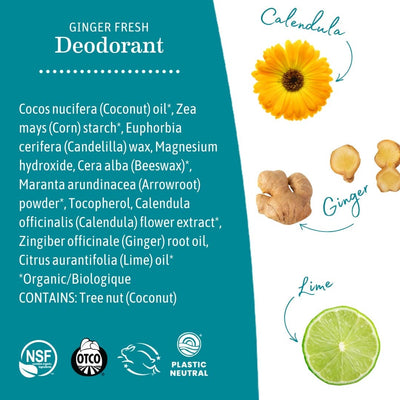 Earth Mama Ginger Fresh Deodorant – Gentle, Natural, and Refreshing