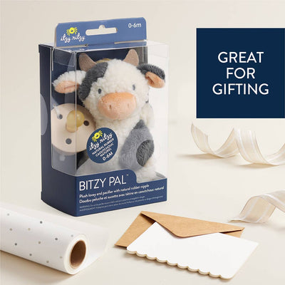 Natural Rubber Pacifier & Plush – Bear