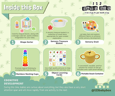 Montessori Educational Box (7-8 Months) – Learning Toy Set