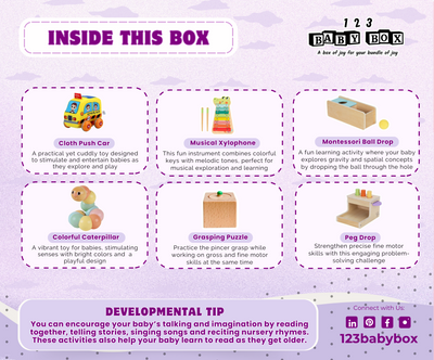 Montessori Educational Box (11-12 Months) – Learning Toy Set