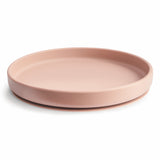 Silicone Suction Plate