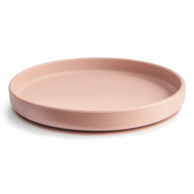 Silicone Suction Plate