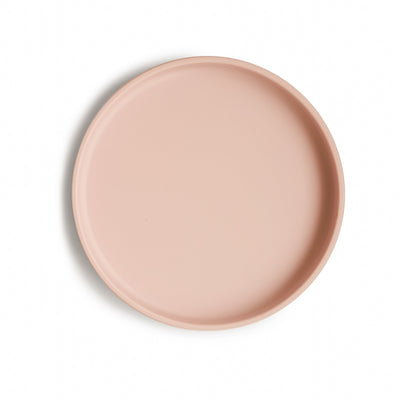 Silicone Suction Plate