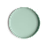 Silicone Suction Plate
