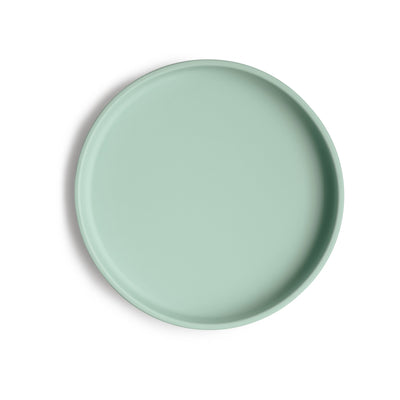 Silicone Suction Plate