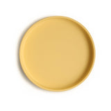 Silicone Suction Plate