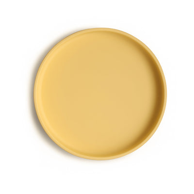 Silicone Suction Plate