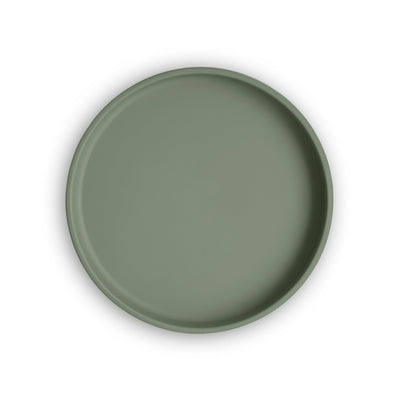 Silicone Suction Plate