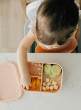 Ava & Oliver Silicone Bento Box