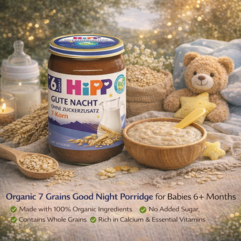 Hipp organic baby porridge jar with a bowl of porridge, spoon, and teddy bear on a soft background.