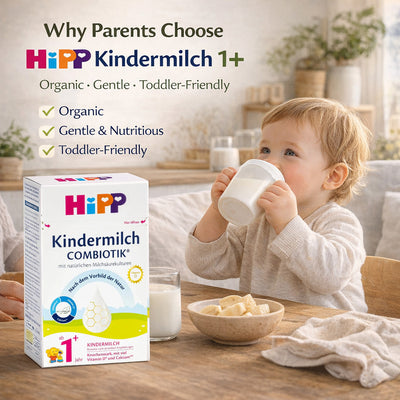 HiPP Stage 1+ Organic Kindermilch Toddler Formula – German (600g)