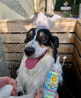 California Baby Fur Baby Pet Shampoo – Organic pH-Balanced Wash for Dogs & Cats (Sensitive Skin)