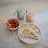 Silicone Suction Plate