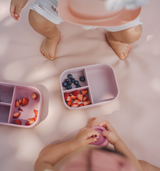 Ava & Oliver Silicone Bento Box