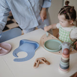 Silicone Suction Plate