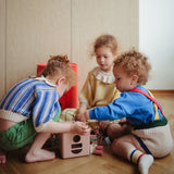 Shape Sorting Box Toy