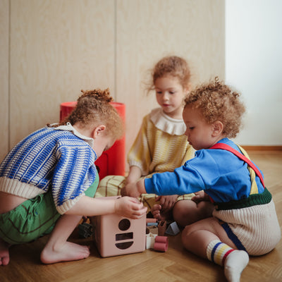 Shape Sorting Box Toy