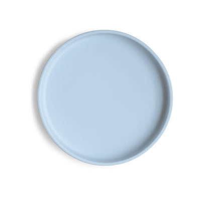 Silicone Suction Plate