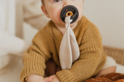 Modern Pacifier | Moss
