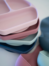 Ava & Oliver Divided Silicone Suction Plate