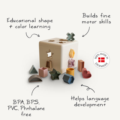 Shape Sorting Box Toy