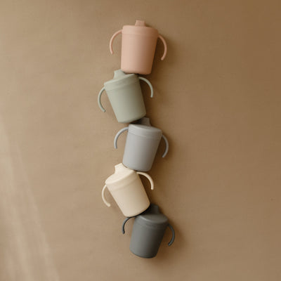 Trainer Sippy Cup with Handles